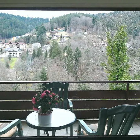 Bergblick Ferienwohnung Schwarzwald Lejlighed *
