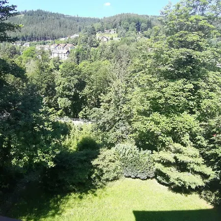 Bergblick Ferienwohnung Schwarzwald Lejlighed *
