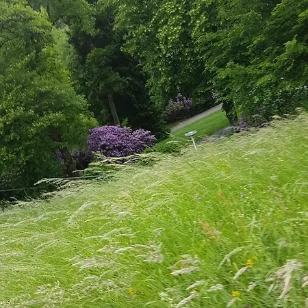 Bergblick Ferienwohnung Schwarzwald Lejlighed