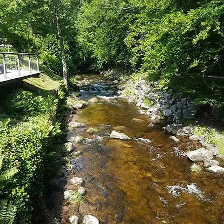 Lejlighed Bergblick Ferienwohnung Schwarzwald *